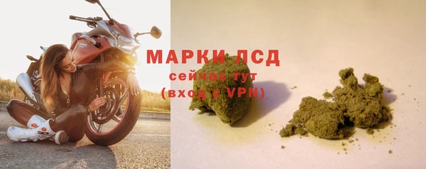 PSILOCYBIN Богородск