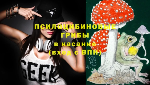 PSILOCYBIN Богородск